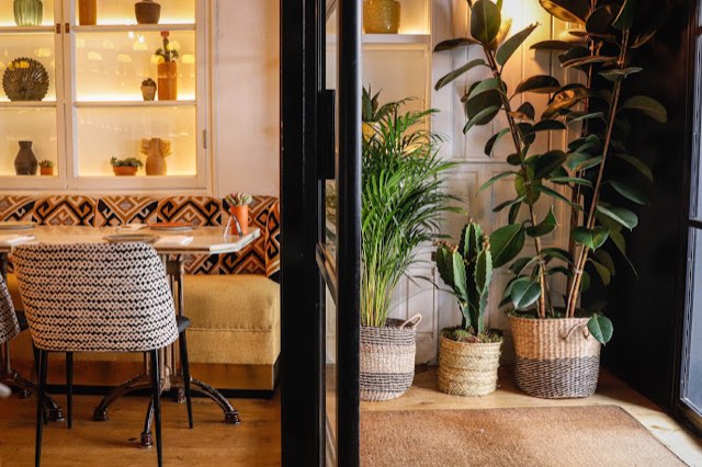 Tepic dining room with plants and patterned chairs